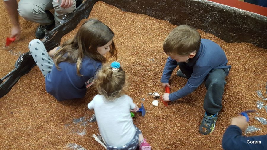 מחפשים שרידים ארכיאולוגיים